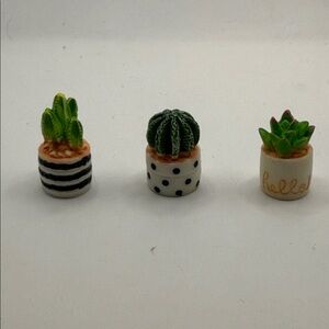 Miniature Succulent Cactus Trio - Green and White
